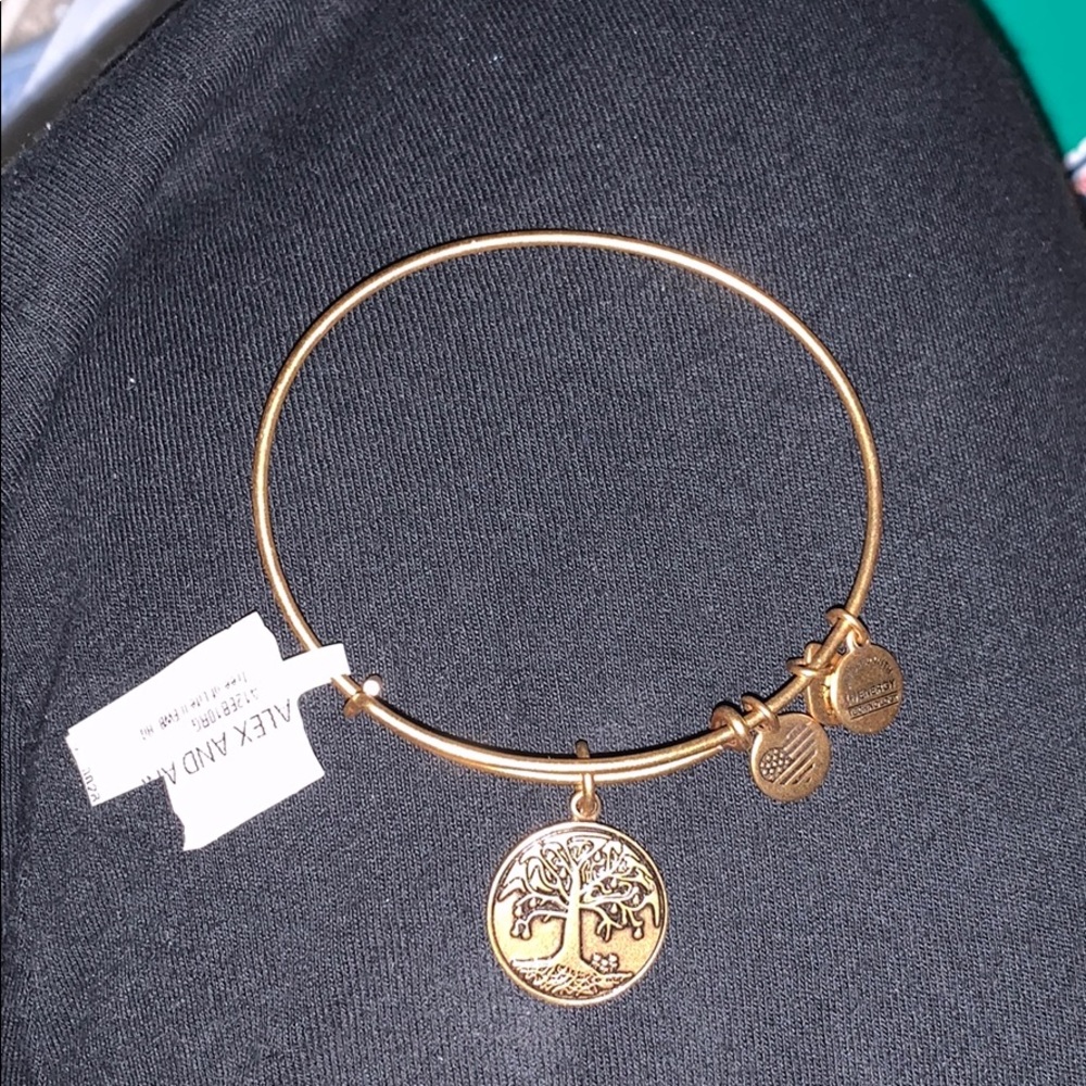 NWT- alex and ani bracelet